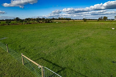 80 Obriens Road, Yannathan, VIC 3981, 0 chambres, 0 salles de bain, Section