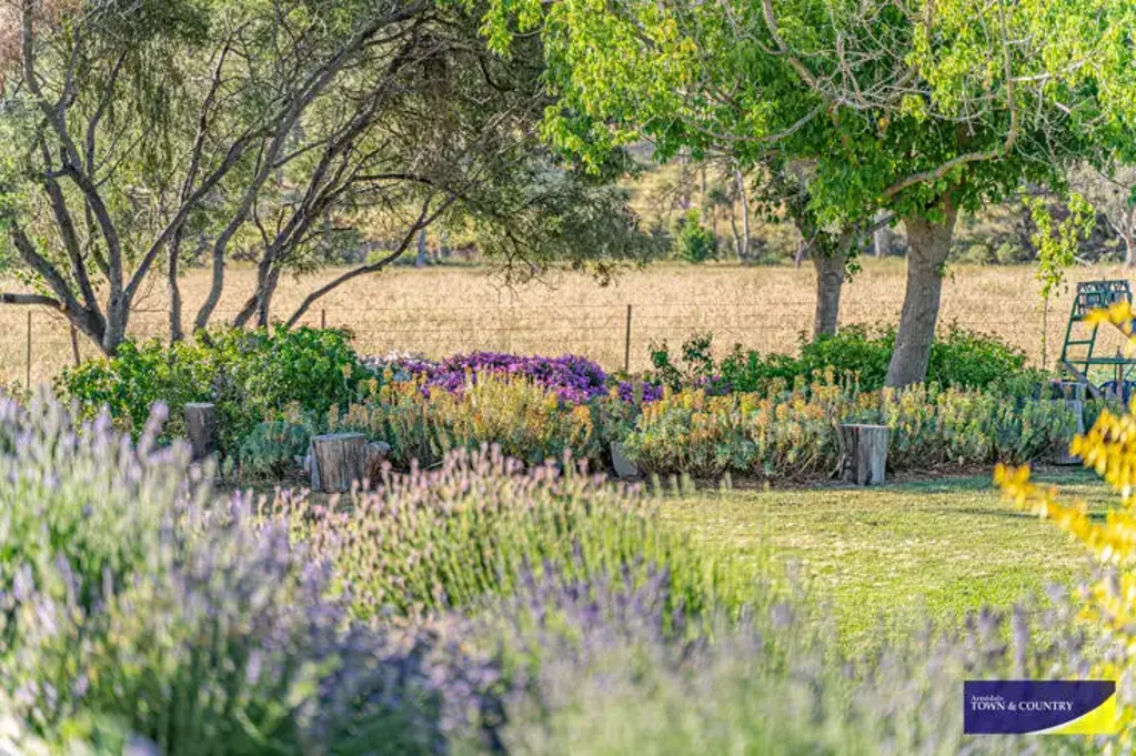 Quiet and secluded granny flat with a country setting.