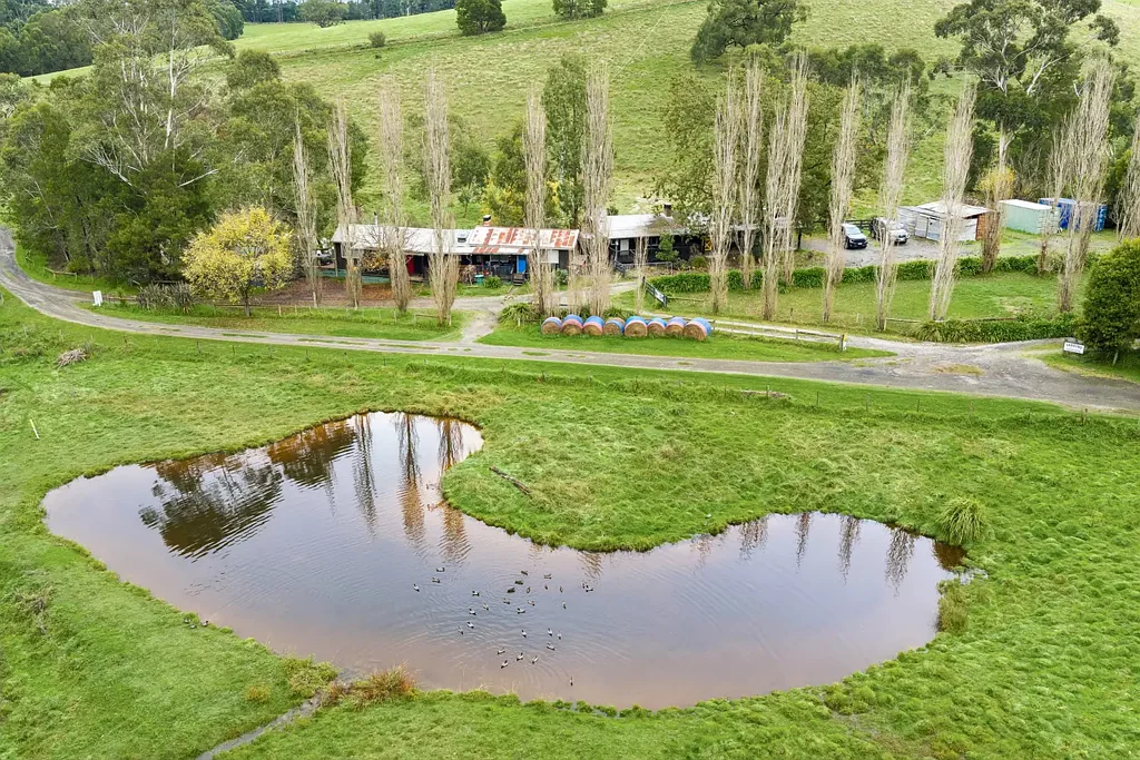 Chum Creek 8બેડરૂમ AUCTION -  High Country Appeal in the Yarra Valley