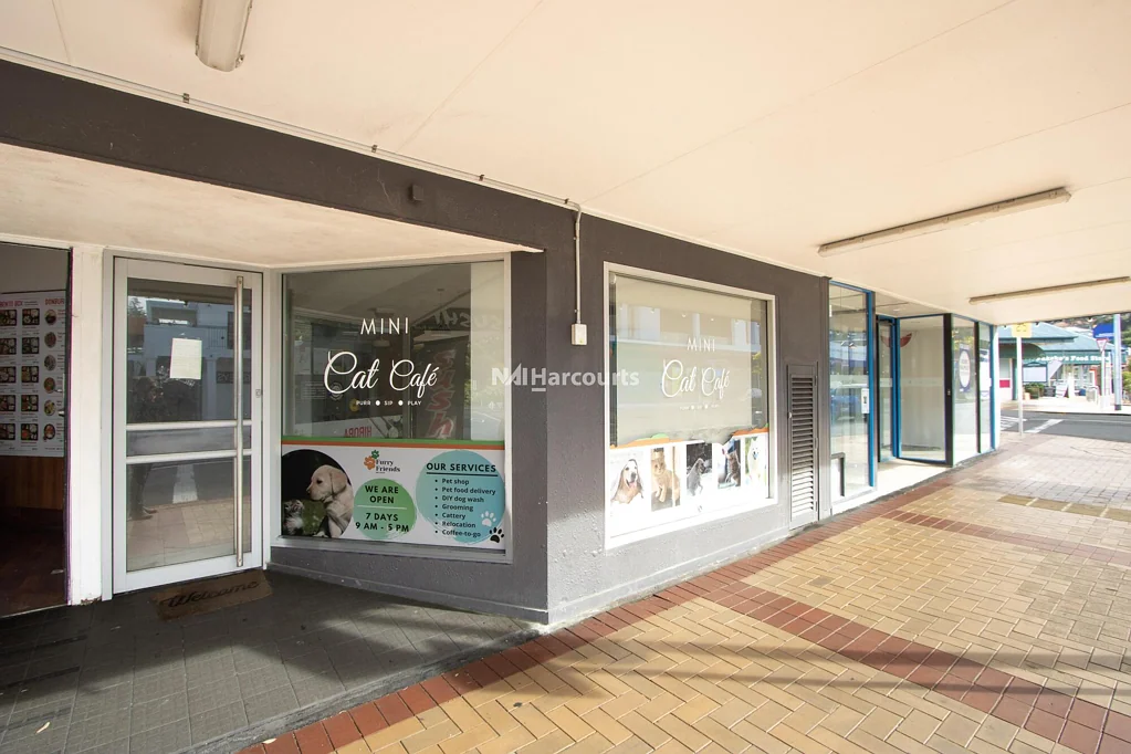 Mairangi Bay  Rare Mairangi Bay Retail