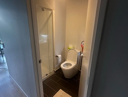 106 Vincent Street, Auckland Central, Auckland City, 1房, 1浴, 整租公寓