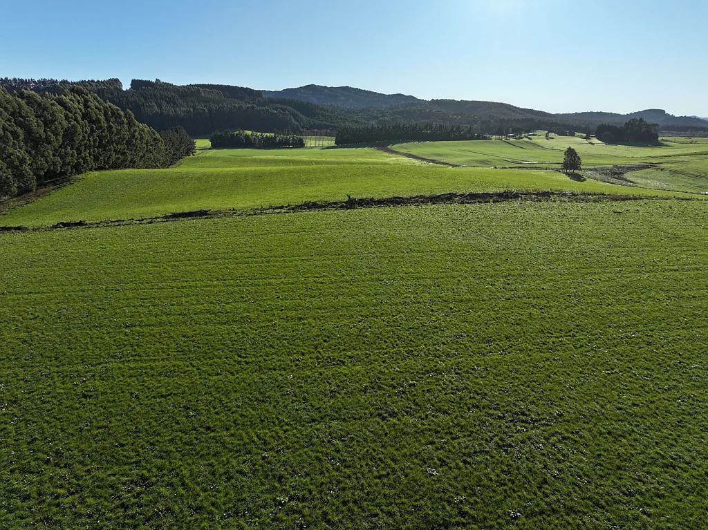 Winton Surrounds Glencoe Dairy Grazing/Supplement Block