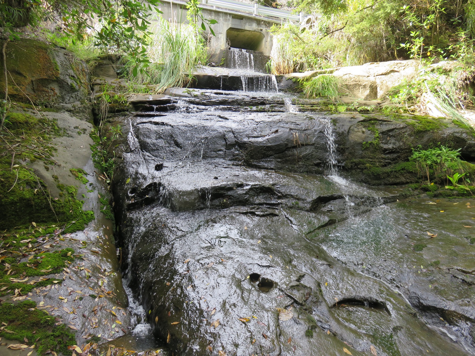 950 Matakana Valley Road, Whangaripo, Auckland - Rodney, 2 chambres, 1 salles de bain