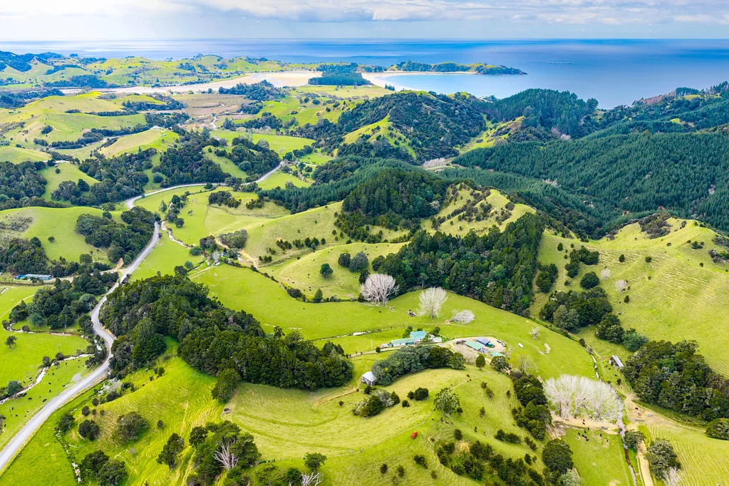 Whananaki Farm it now. Unlock the coast later.