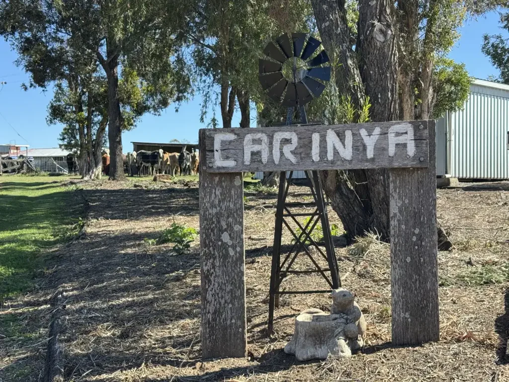 Monto Irrigation & Grazing