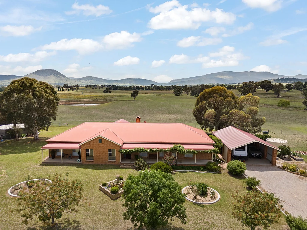 Mudgee "ALUOCH"
