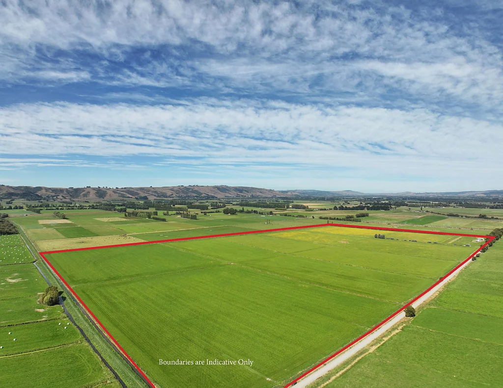 Outram Feed Supply, Grazing or Fattening Versatility