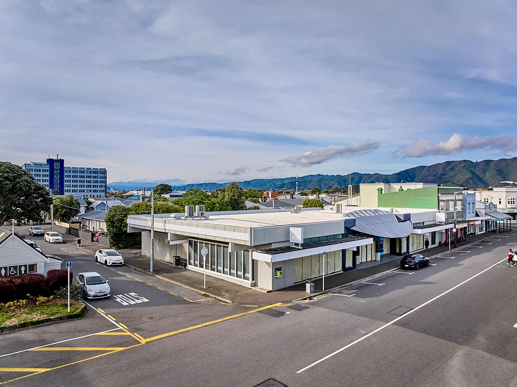 Petone  Unleash your vision here