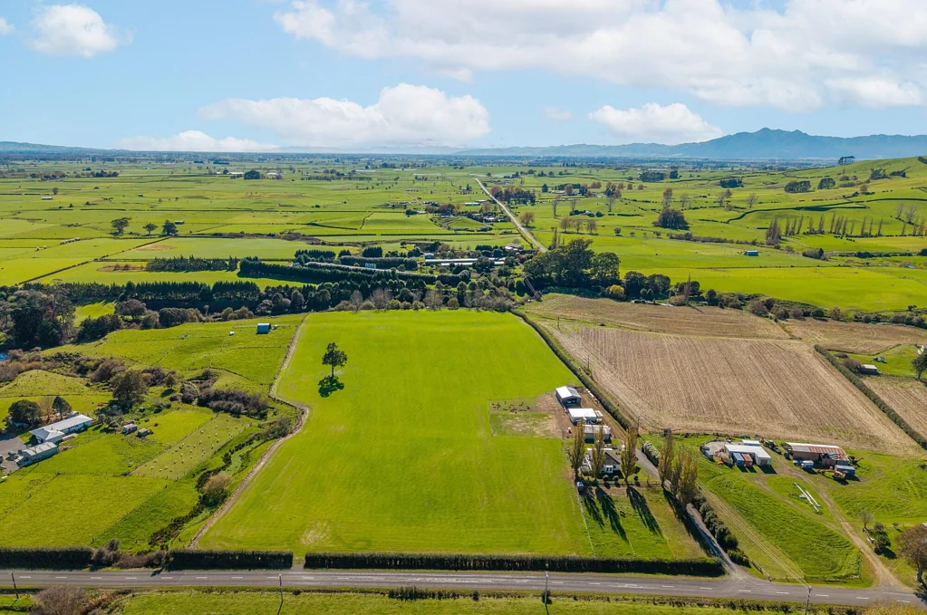Morrinsville Productive land, renovated home, plenty of sheds