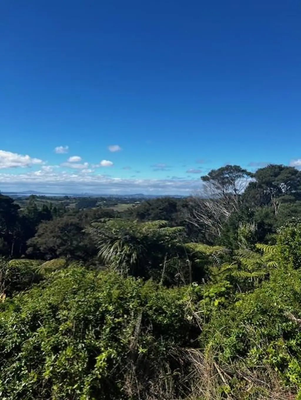Swanson Priced Slashed – Massive 1783m² with Epic Views