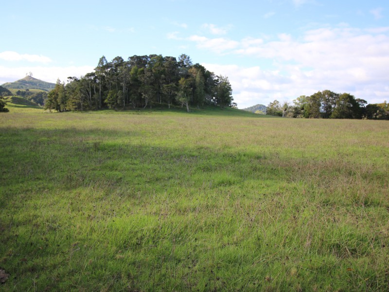 468 Mangamuka Road, Mangamuka, Far North, 0 rūma, 0 rūma horoi