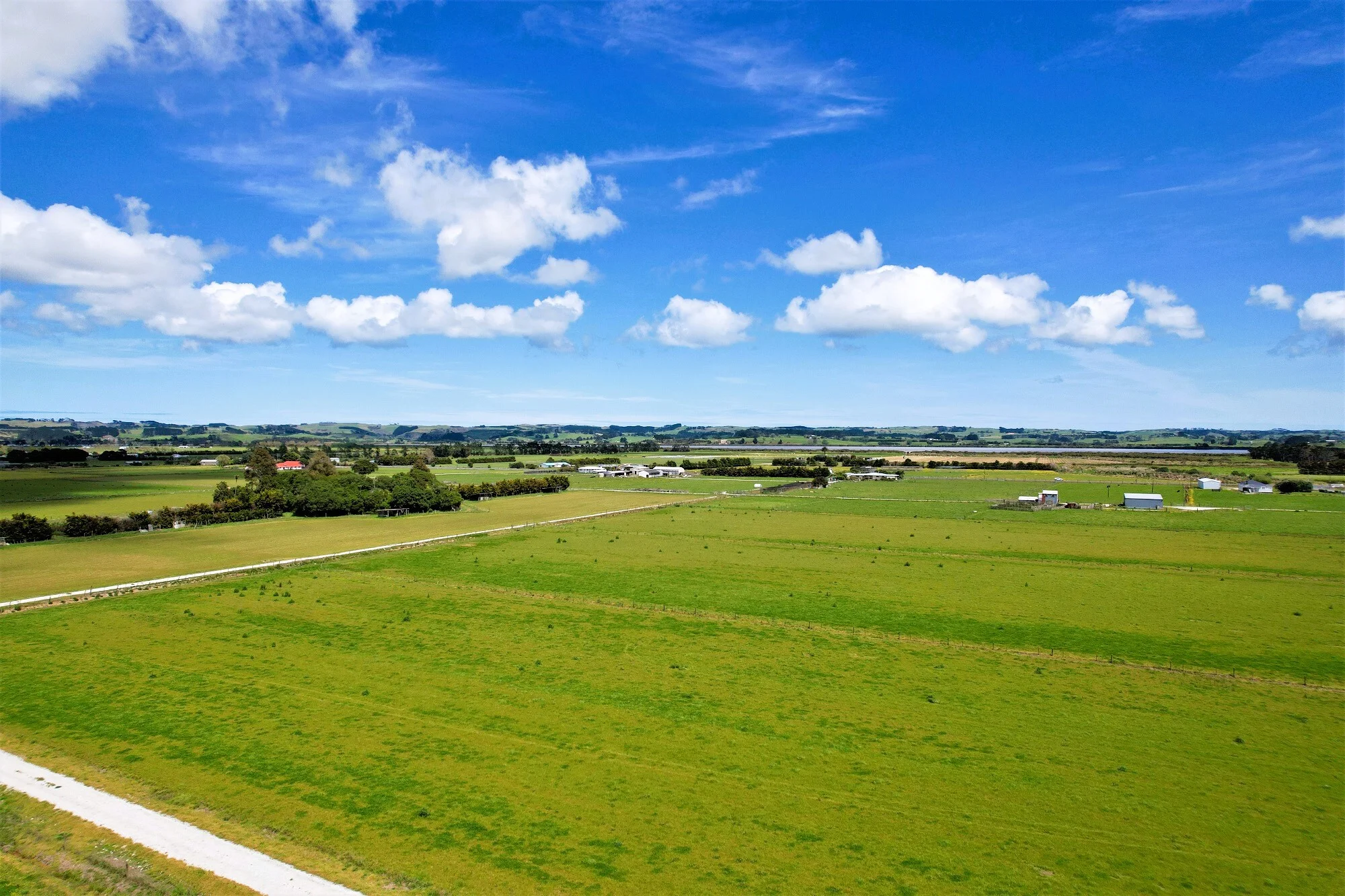 Tramline Road, Ruawai, Kaipara, Northland, 0 Bedrooms, 0 Bathrooms, Horticulture
