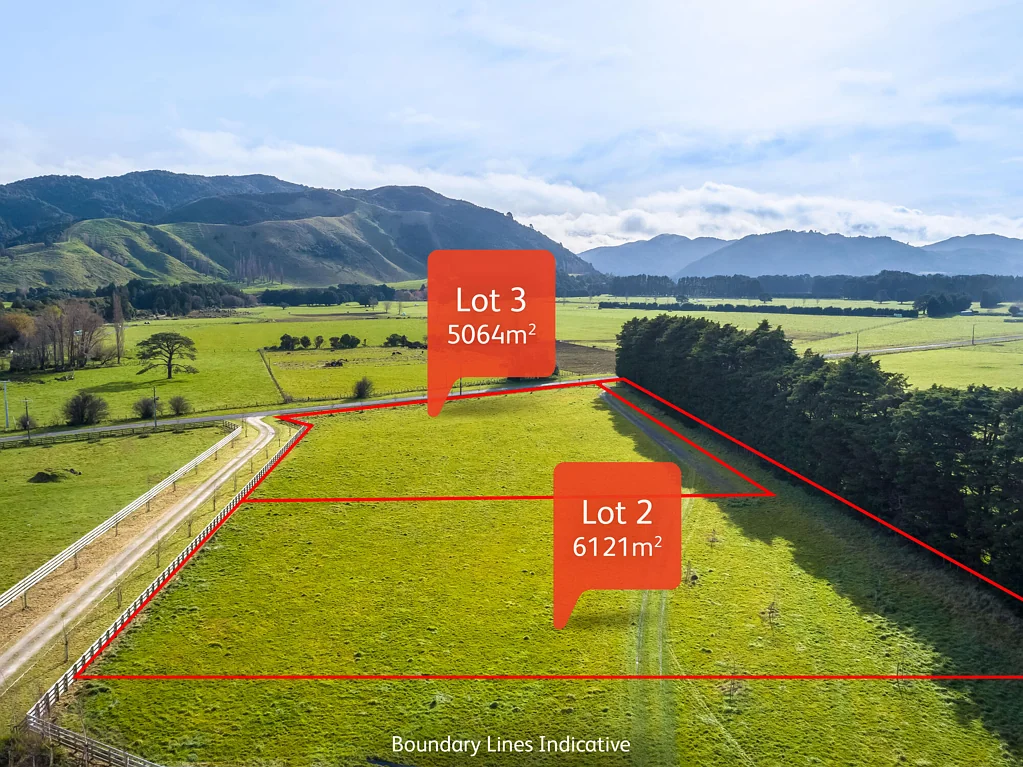 Featherston Rare find, two 5000m2 plus lifestyle sections