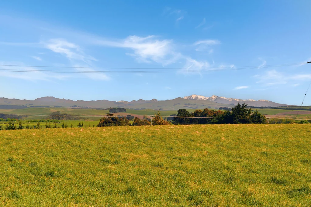 Maheno Elevated in Maheno
