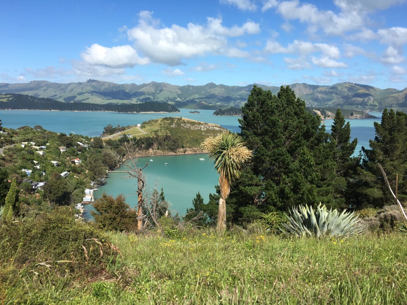 Residential Banks Peninsula