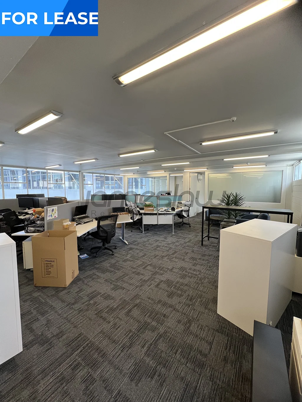 Auckland Central Modern Office in Prime Central Location