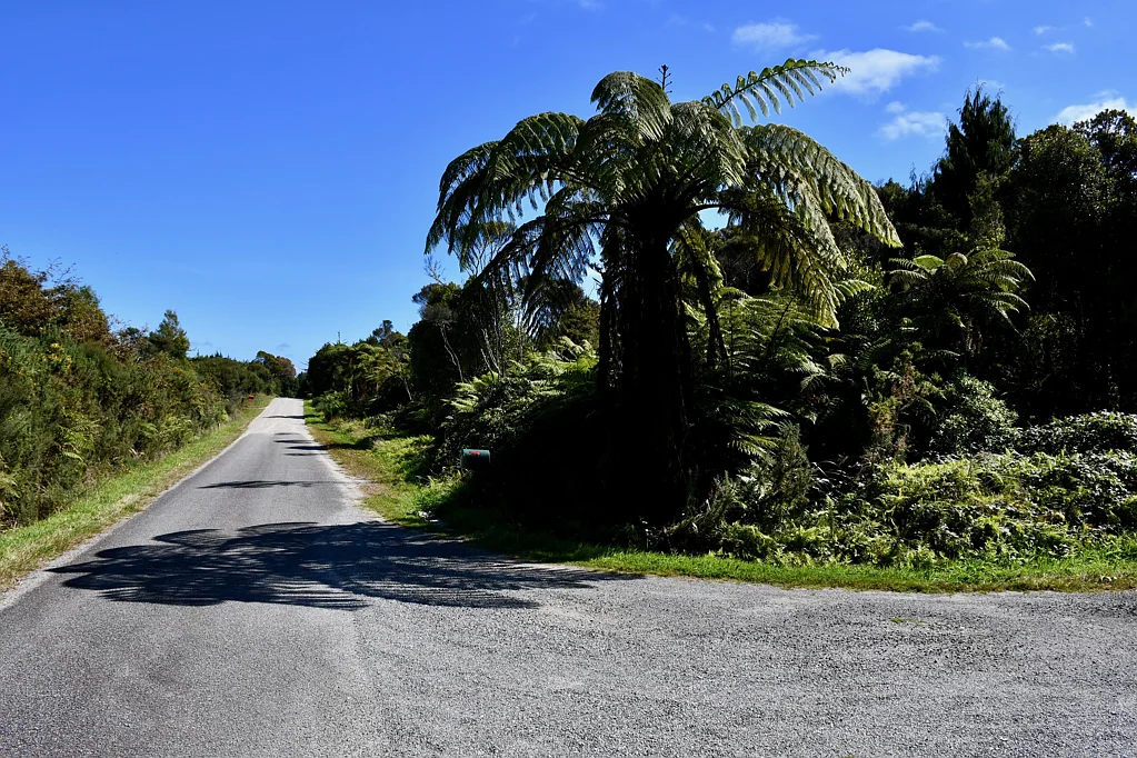 Karamea Sunny bush retreat