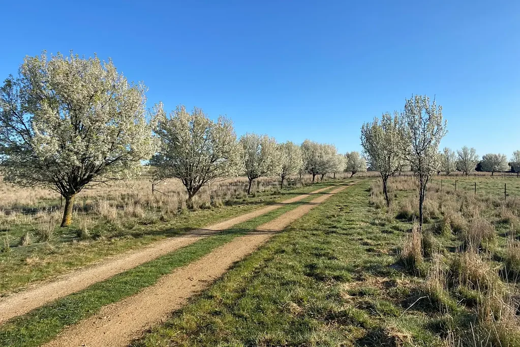 Spring Hill  Opportunity to build on 145 acres, Close to Orange!!