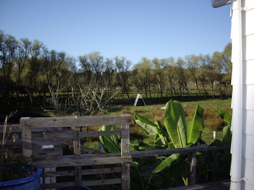 460 Kahikatea Flat Road, Waitoki, Auckland - Rodney, 4房, 0浴