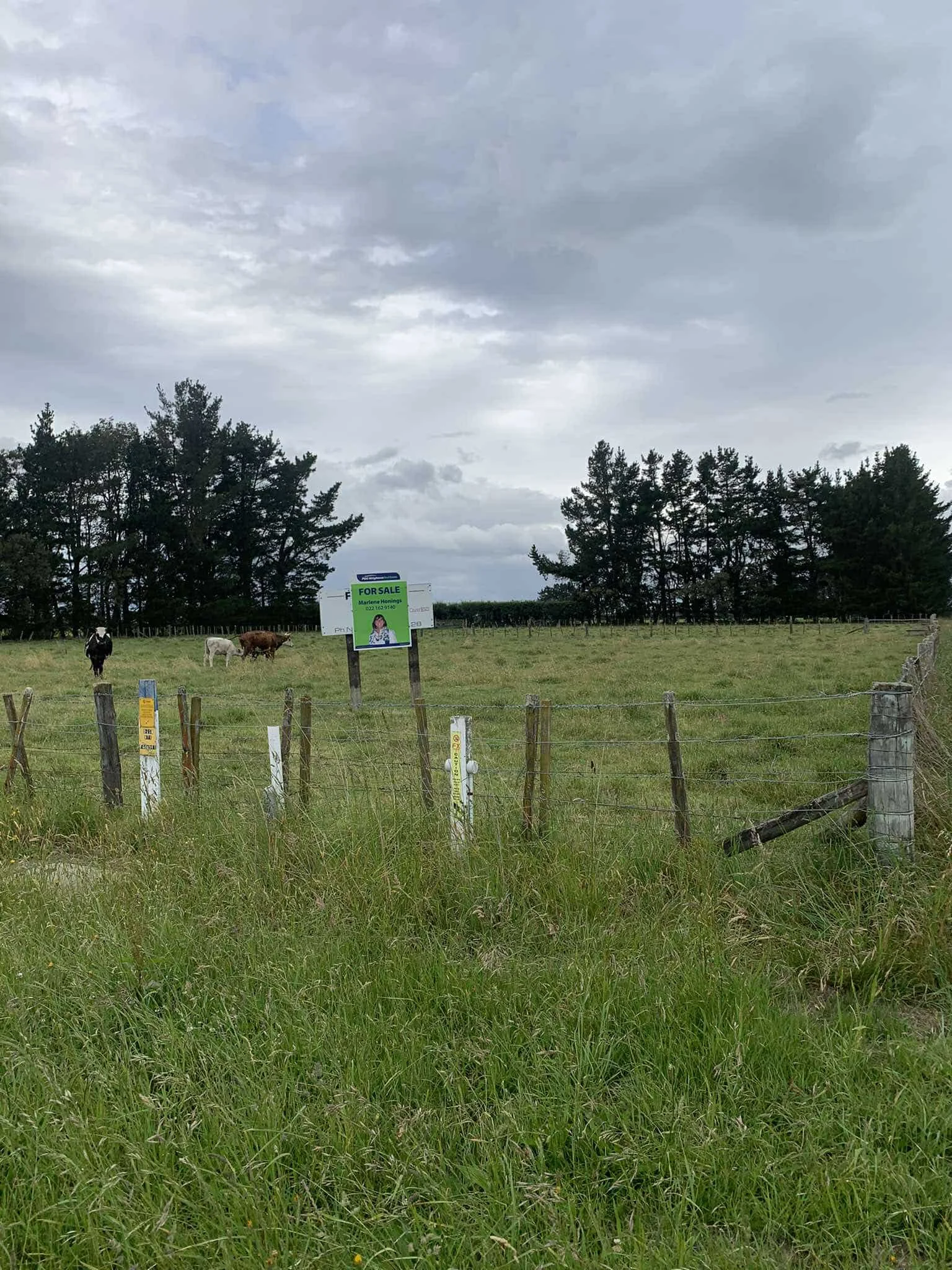 Tikokino Exceptional Development Opportunity