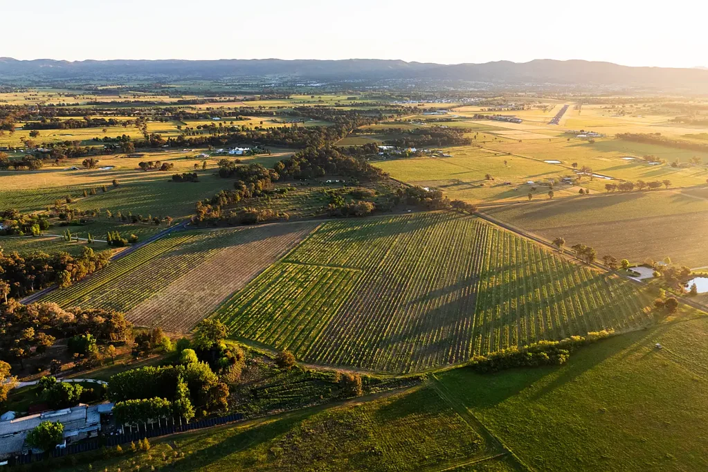 Mudgee Golden Triangle Opportunity