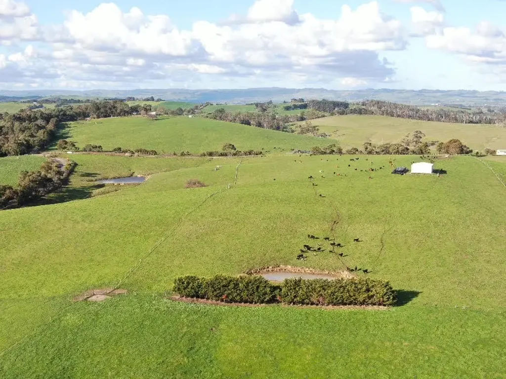 Koonwarra  Highly Productive Grazing Property in Superb Position