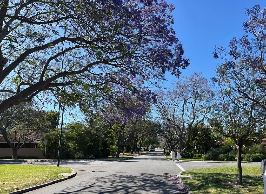 Charming 3-Bedroom Cottage in Applecross School Catchment - Affordable Serenity Awaits!