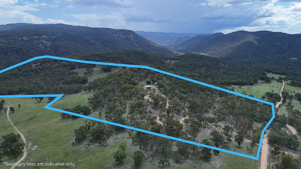 813 Bluff River Road, Tenterfield, NSW 2372