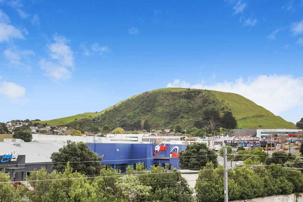 Mount Wellington 3房  Bring Your Market-based Offer Now