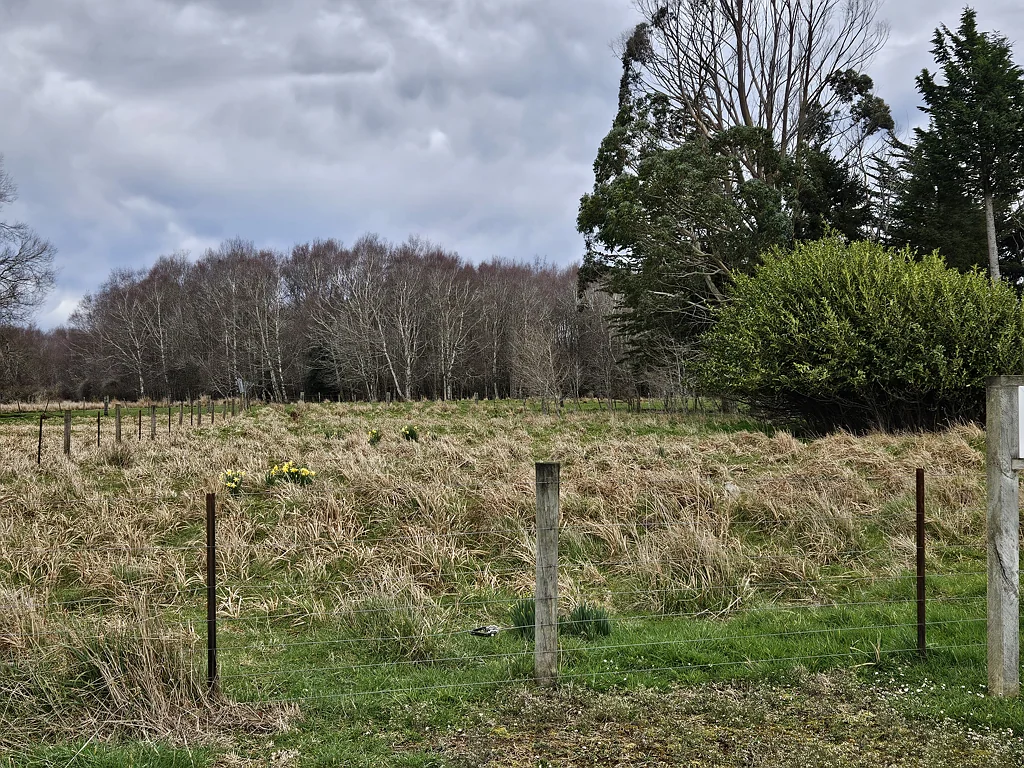 Catlins Surrounds Tahakopa Valley life