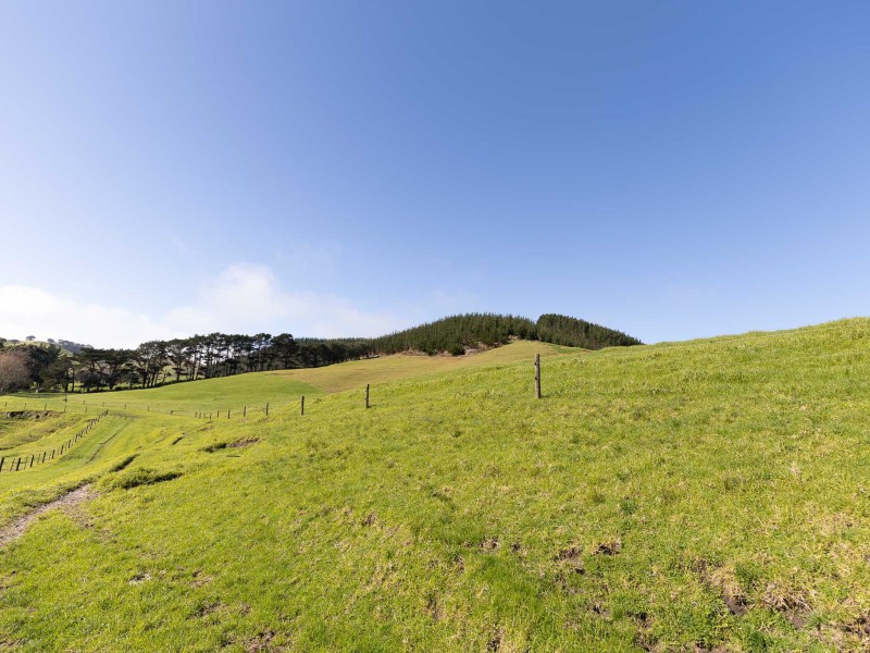 1496 Babylon Coast Road, Dargaville Surrounds, Kaipara, 0 Schlafzimmer, 0 Badezimmer