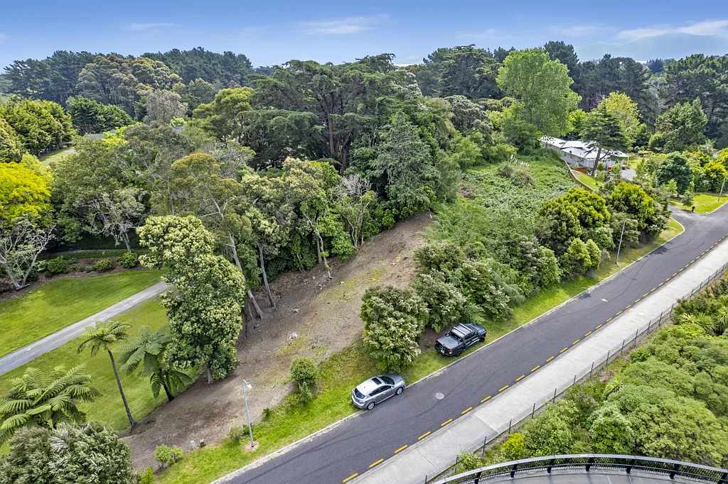 Raumati South Go big, go bold, or just go YOU!