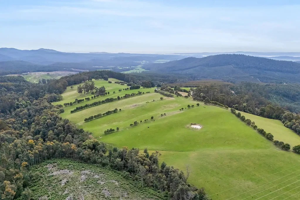 Flowery Gully  Touchwood Farm | Productive Grazing Country with Exceptional Tamar Views