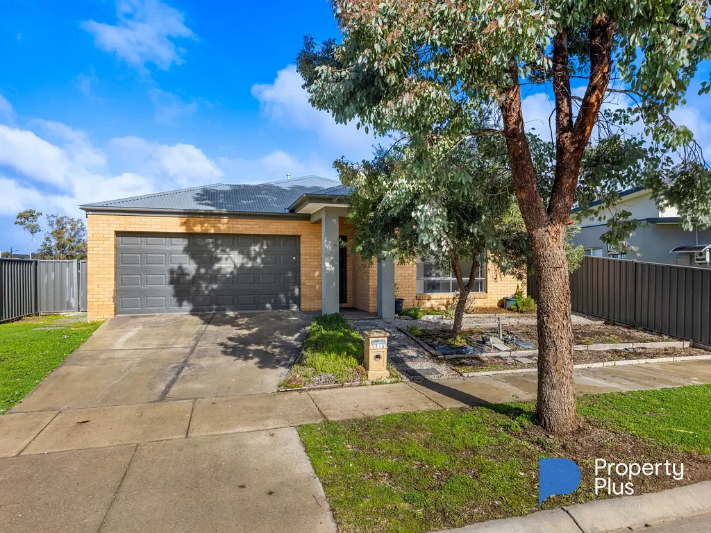 "Spacious Family Living in Peaceful Jackass Flat"