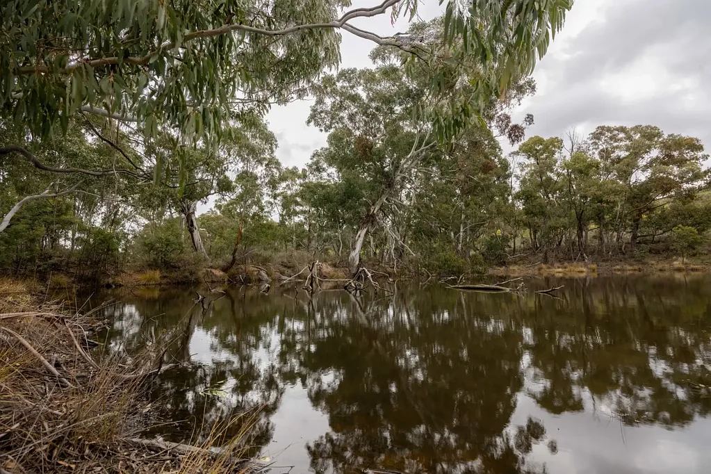Mudgee 1 of 3 Lots available - 131 acres