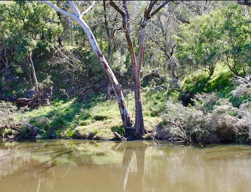 Lot 7 Gibraltar Road, Tenterfield, Tamworth, 0房, 0浴, Lifestyle Property
