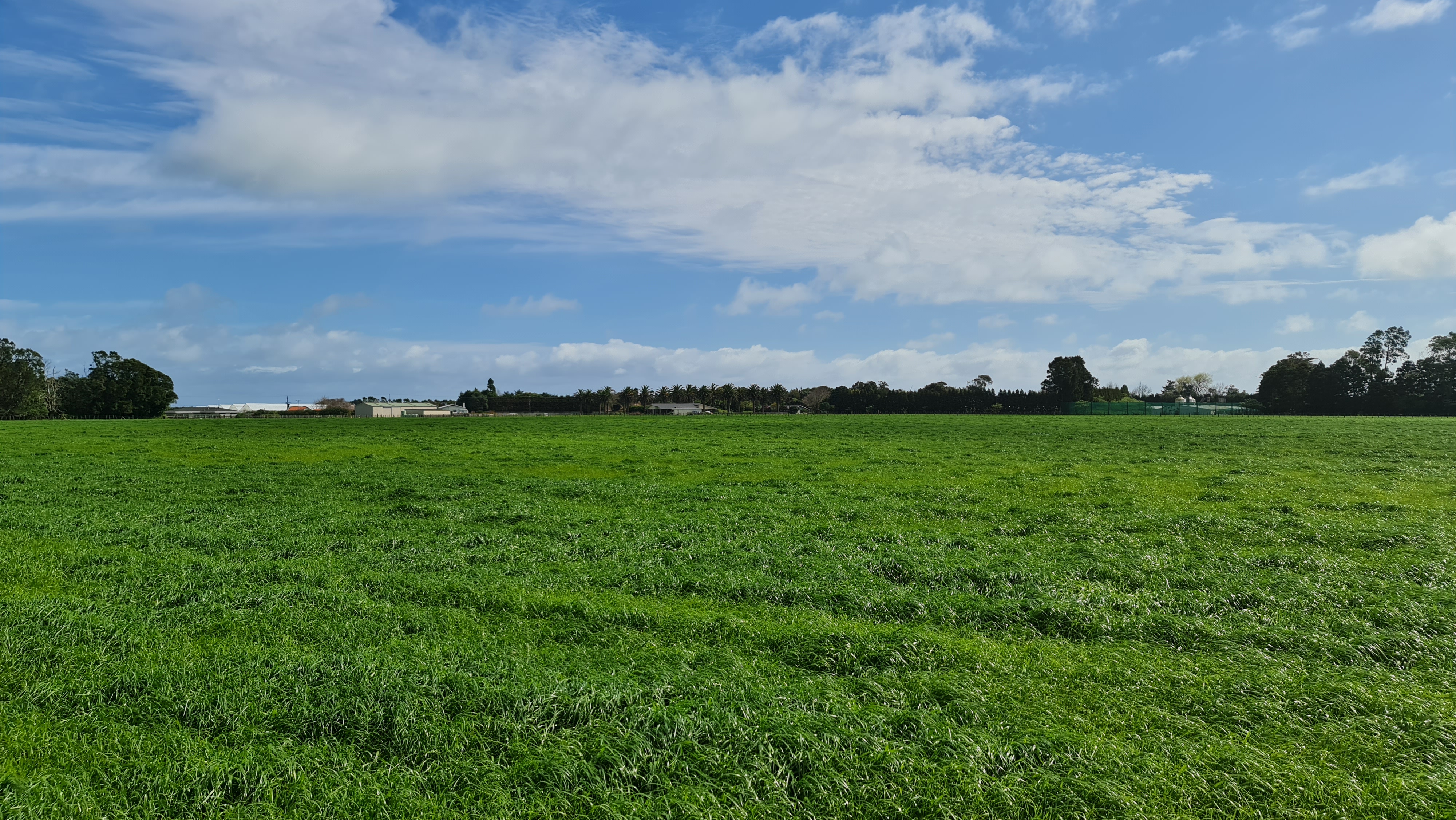 1205 Devon Road, Bell Block, New Plymouth, 0 ห้องนอน, 1 ห้องน้ำ, Commercial Land