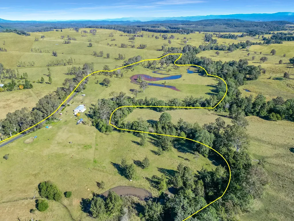 161 Tabulam Road, Lower Bottle Creek, NSW 2469