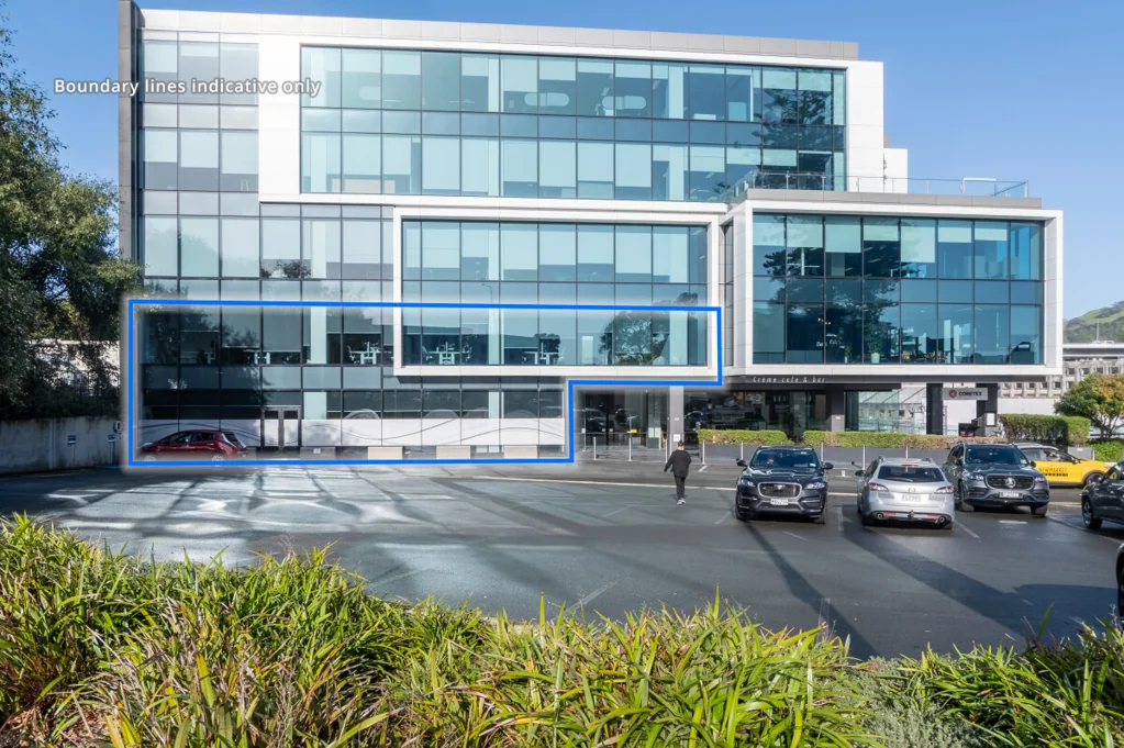 Remuera Medical/Showroom space for lease in Remuera