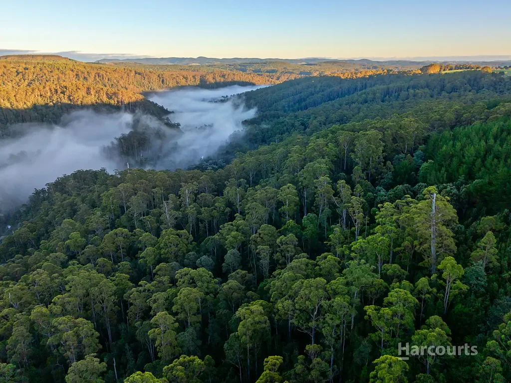 Calder  Opportunity to Own Your Own Wilderness