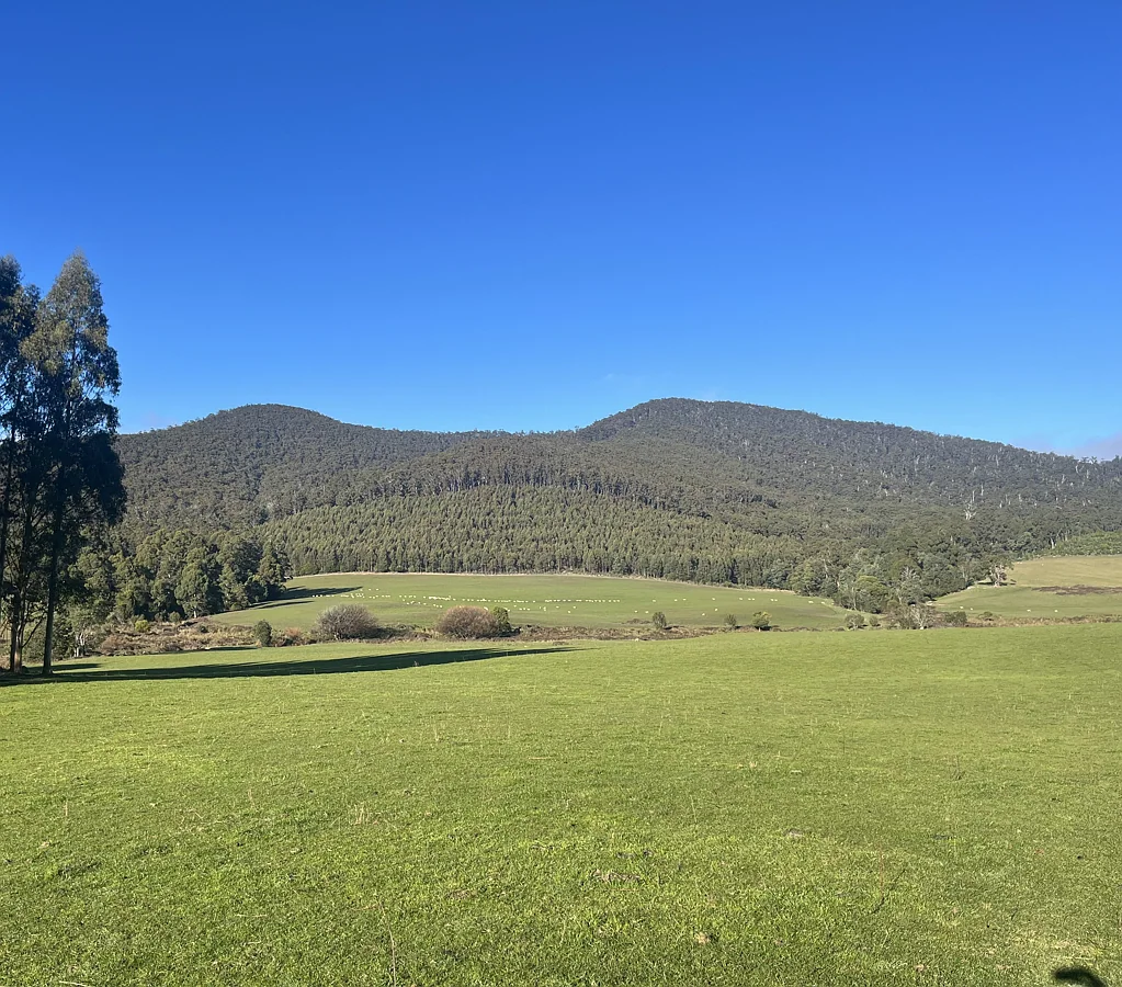 Pyengana Outstanding North East Farm