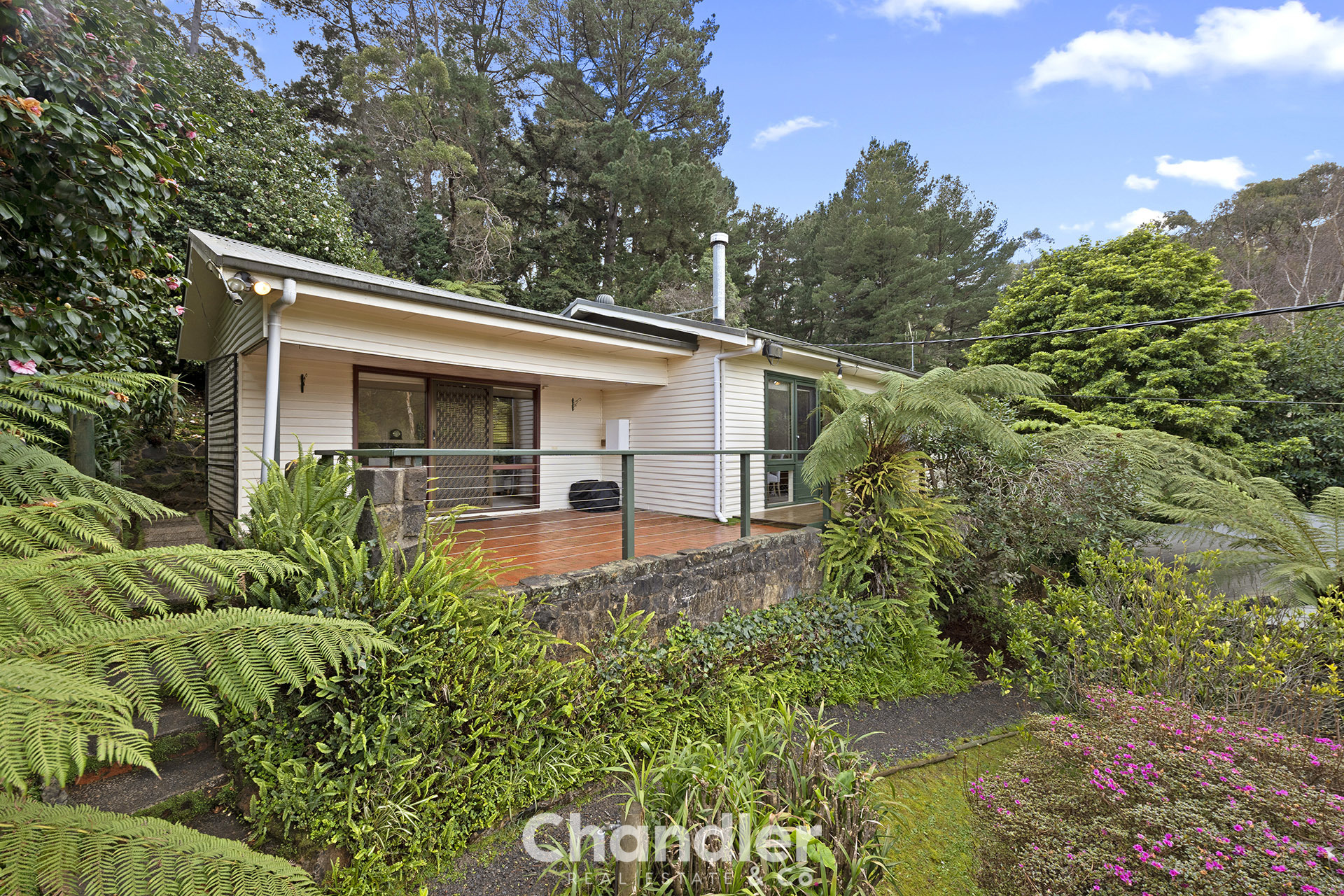 29 BLACKWOOD ST, TECOMA VIC 3160, 0 غرف, 0 حمامات, House