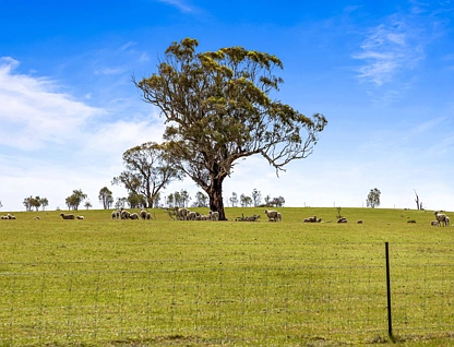 140 Pearce Road, Campbells Bridge, Horsham, 0 rūma, 0 rūma horoi, Lifestyle Property