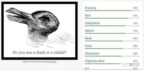 谷歌AI也会被难倒 百年老图到底是鸭是兔？