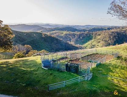 Lot 1/2553 Campfire Road, Walcha, Tamworth, 3房, 1浴, Lifestyle Property