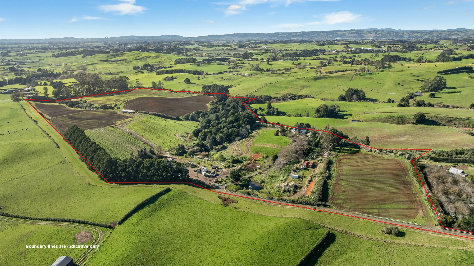 Pukekohe  Cropping opportunity – Patumahoe soils