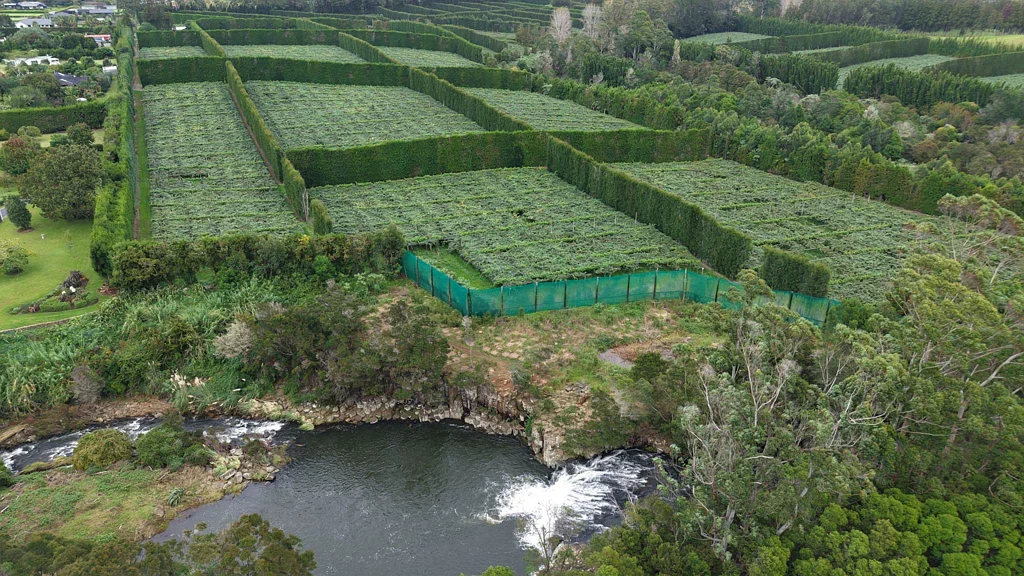 Kerikeri Charlie’s Rock Orchard - A Premier Opportunity