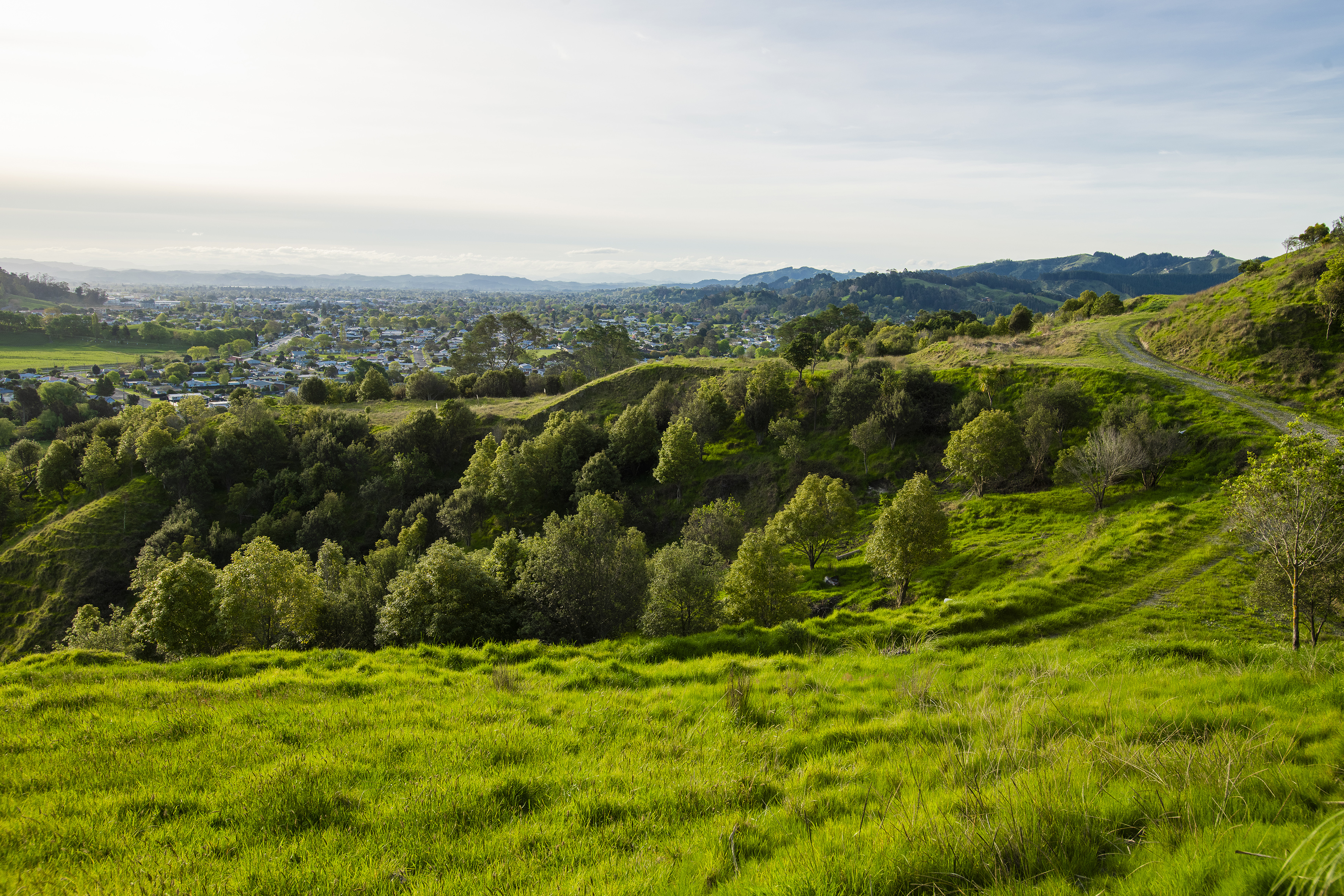 Wheatstone Road, Outer Kaiti, Gisborne, 0房, 1浴