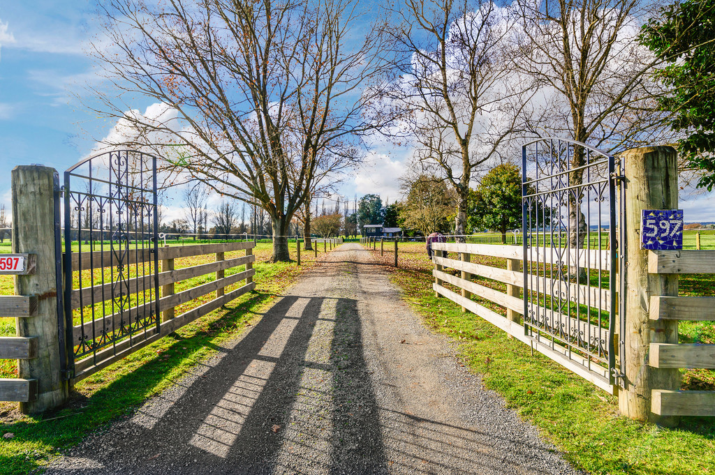 597 Vaile Road, Broadlands, Taupo, 4 chambres, 0 salles de bain