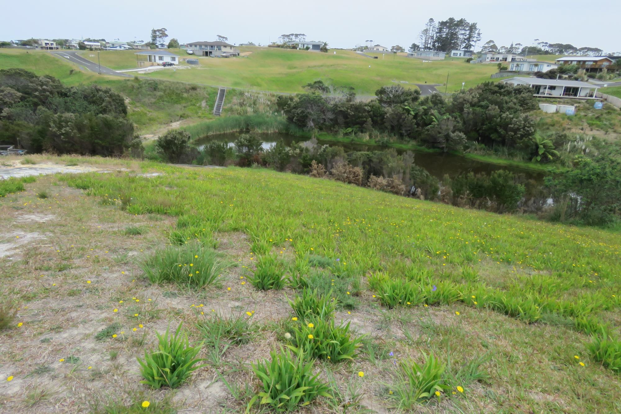 63 Banyan Road, Karikari Peninsula, Far North, 0 Kuwarto, 0 Banyo